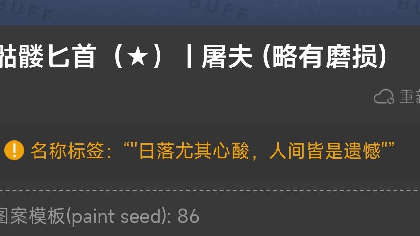 反恐精英：全球攻势骷髅匕首名字推荐什么