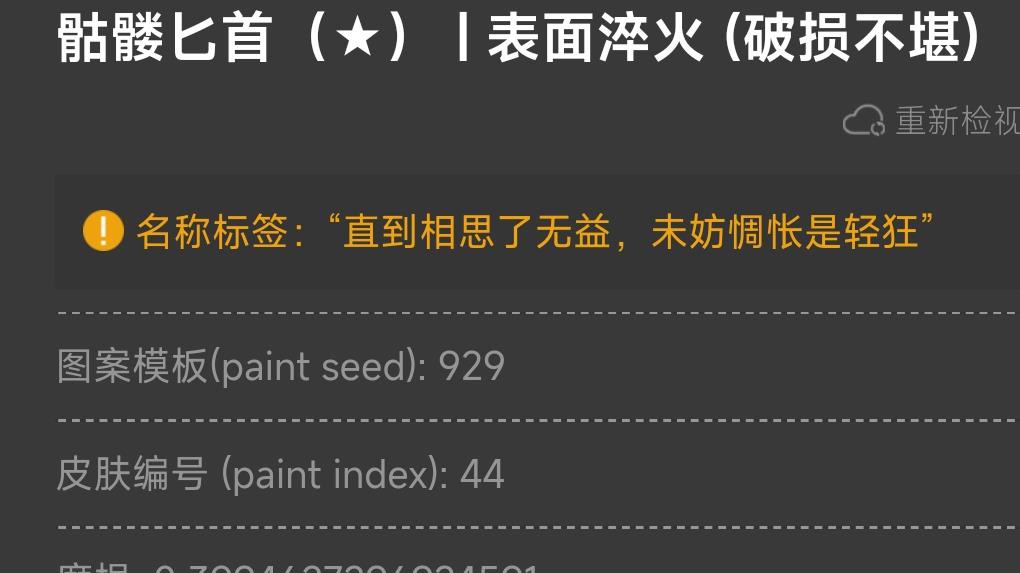 反恐精英：全球攻势骷髅匕首名字推荐什么