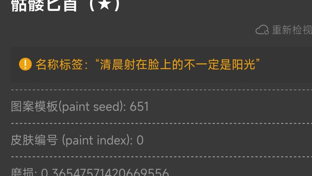 反恐精英：全球攻势骷髅匕首名字推荐什么