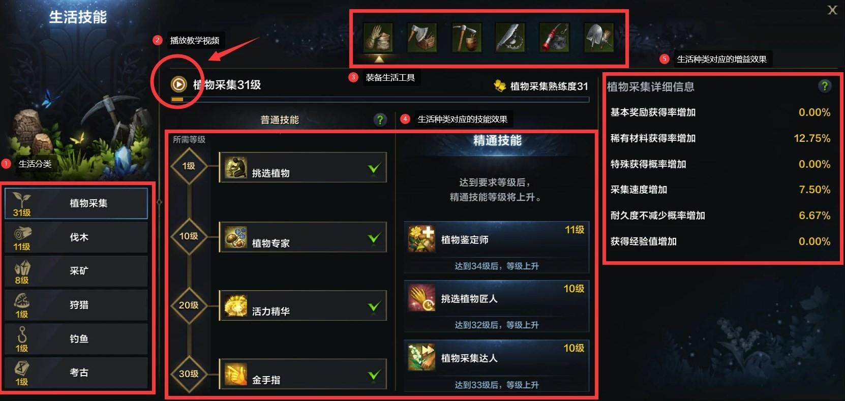 命运方舟生活技能怎么学