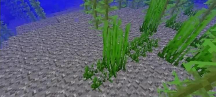 我的世界如何制作海草农场