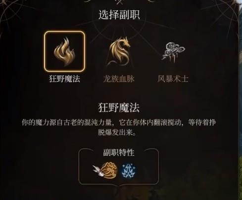 博德之门3术士兼职什么好
