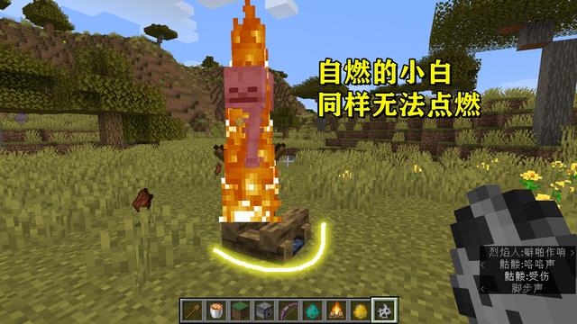我的世界的萤火怎么点燃 我的世界的萤火怎么点燃