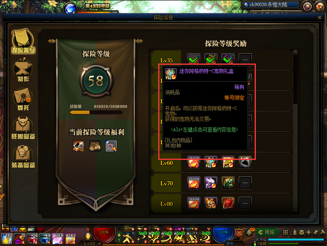 地下城与勇士110级版本怎么凑够20个宠物