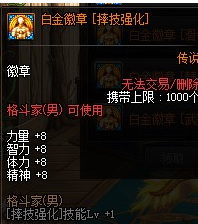 dnf110男柔道白金徽章选什么技能