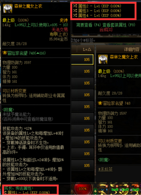 地下城与勇士110级版本自定义史诗是什么意思